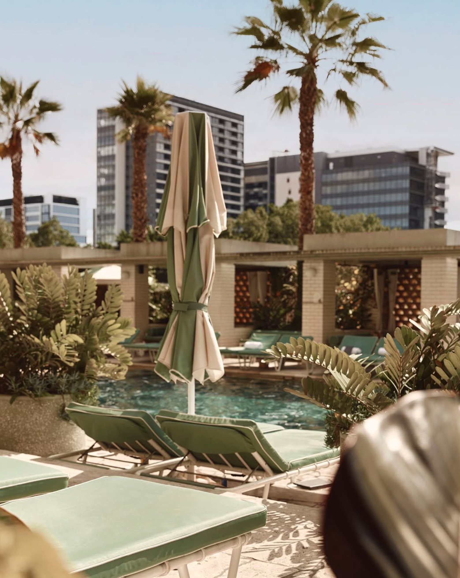 The Calile Hotel pool, Brisbane